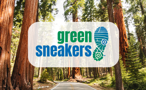 we timeline Greensneakers